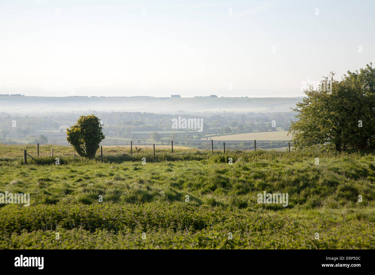 Tôt le matin du brouillard au sol se trouvant au-dessus des champs dans la vallée de Pewsey, près de Alton Barnes, Wiltshire, Angleterre Banque D'Images