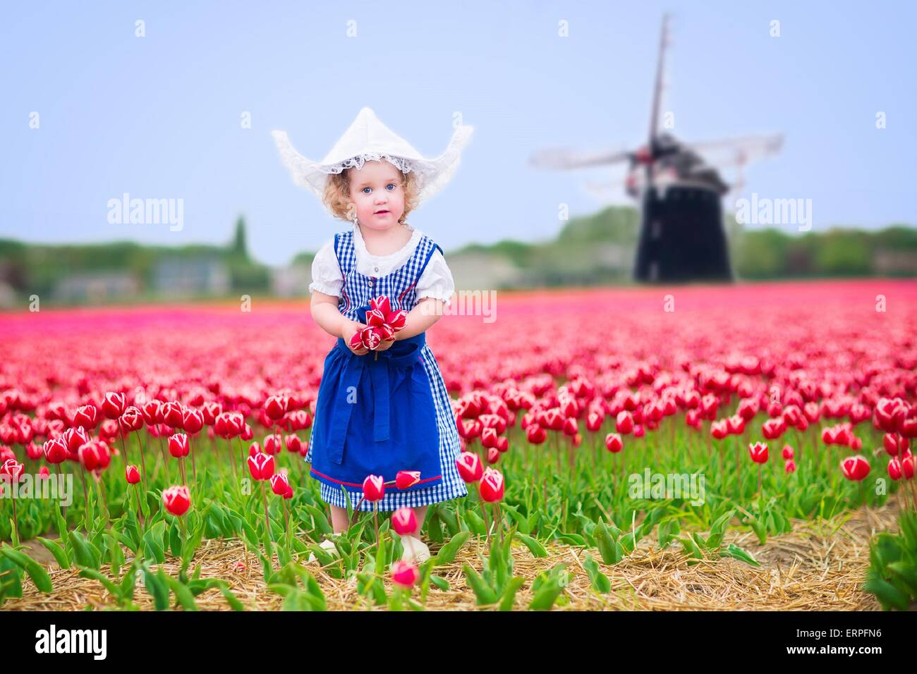 Girl wearing traditionnel néerlandais costume national robe et chapeau jouant dans un champ de tulipes en fleurs à côté d'un moulin Banque D'Images