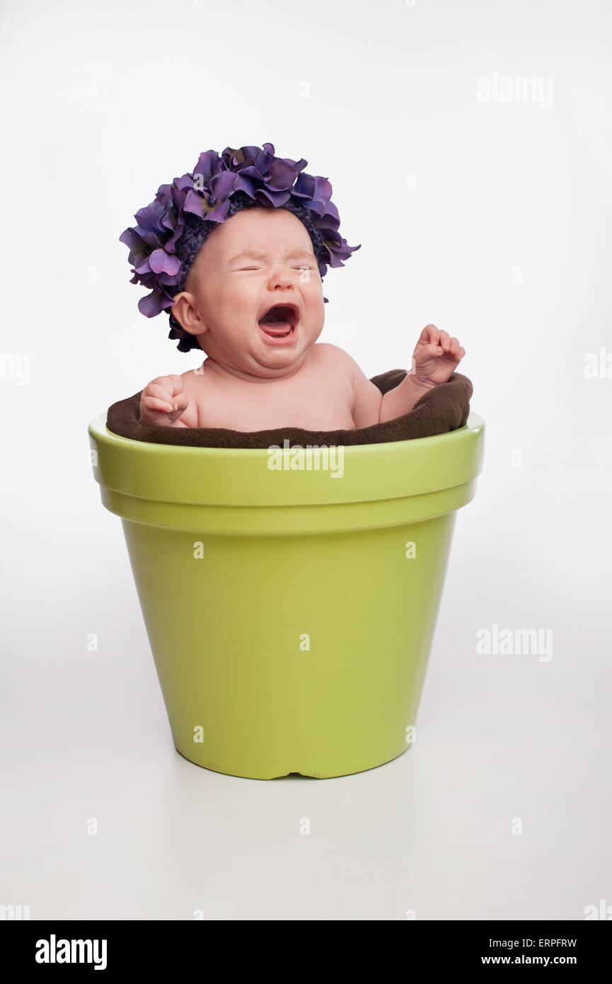 Un bébé de trois mois fille portant un chapeau mauve, hydrangea et assis dans un pot de fleurs vert lime. Banque D'Images