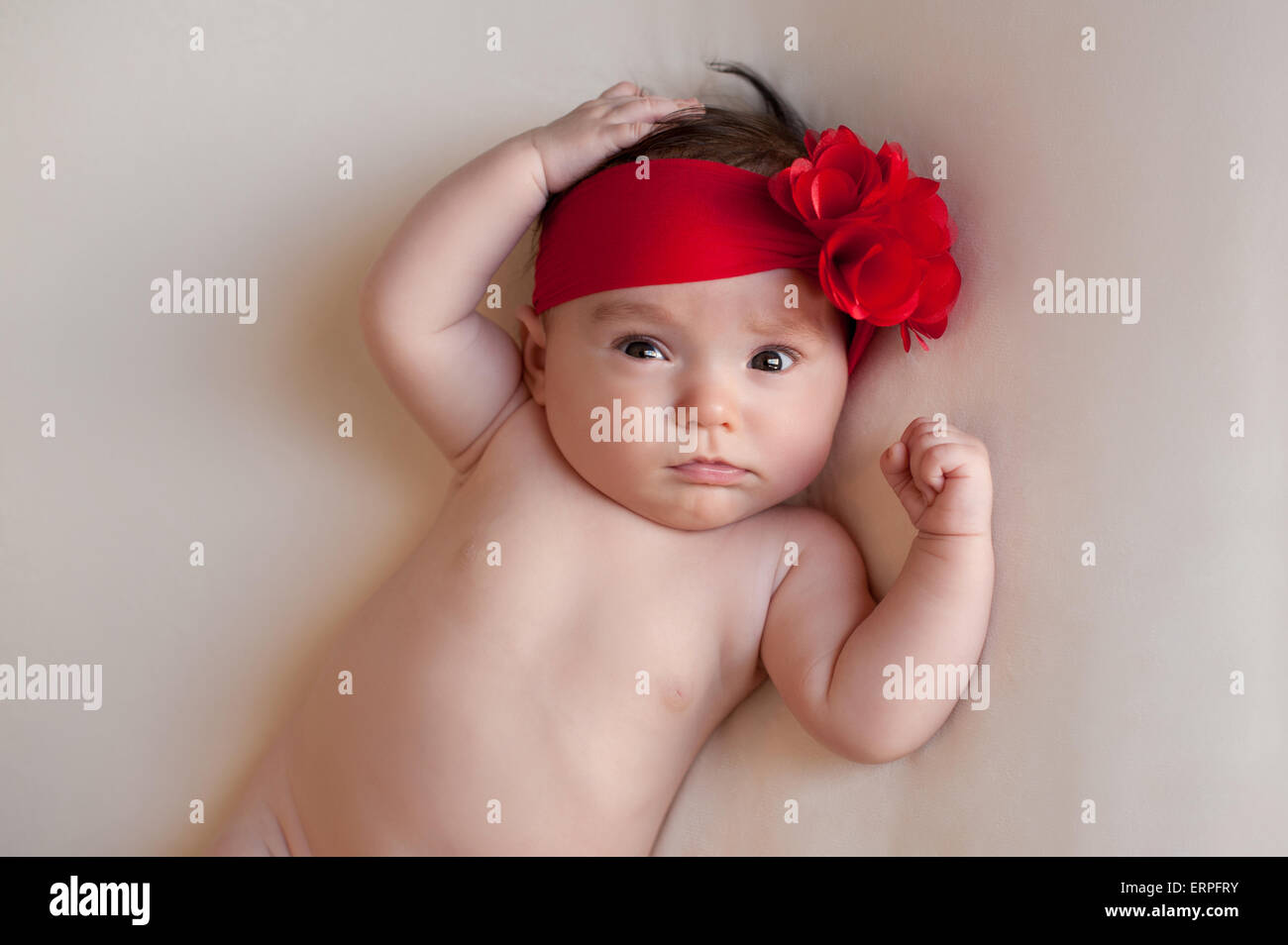Un portrait d'une alerte, 3 mois baby girl wearing a grande, rouge, fleur serre-tête. Elle est couchée sur le dos sur une couleur crème Banque D'Images