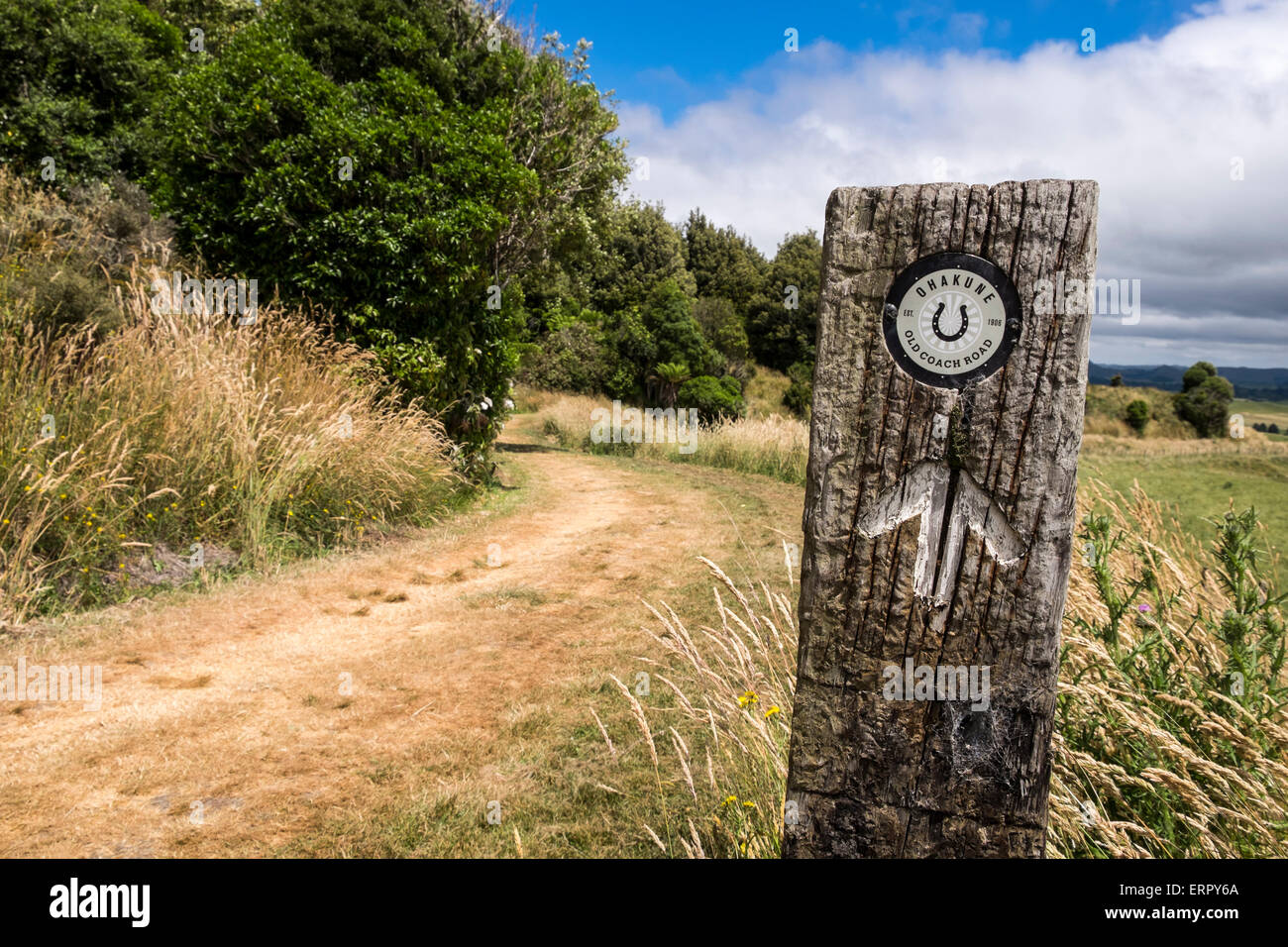 Old railway sleeper utilisé comme marqueur d'un sentier le long de l'ancien entraîneur Ohakune Route piste, en Nouvelle-Zélande. Banque D'Images