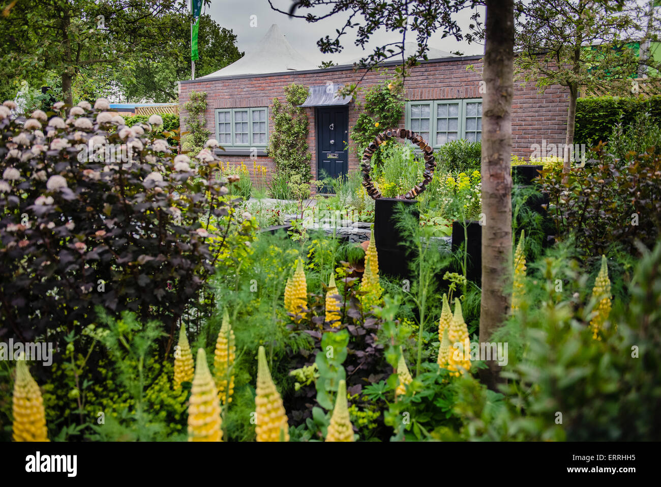 Chelsea Flower Show 2015 Banque D'Images