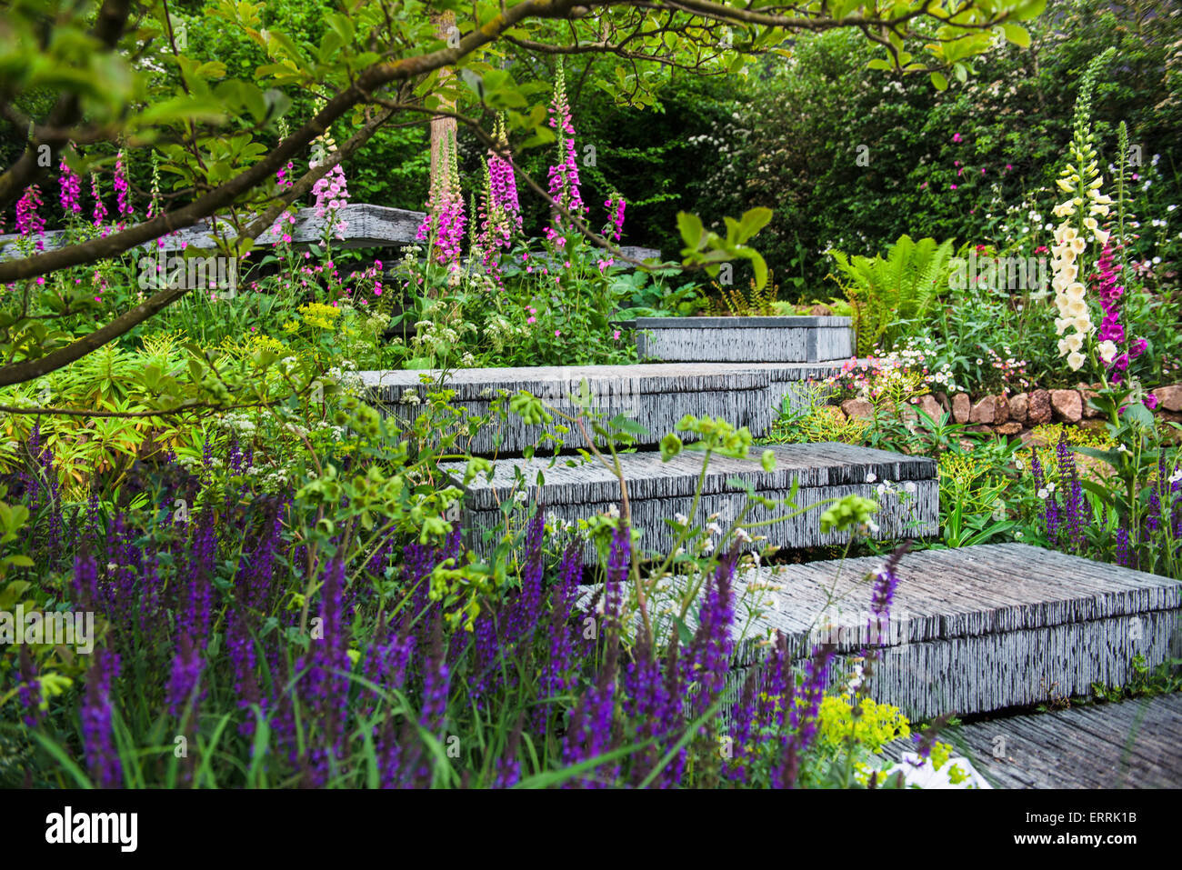 L'Brewin Dolphin jardin conçu par Darren Hawkes , Paysages d'or @ RHS Chelsea Flower Show 2015 Banque D'Images