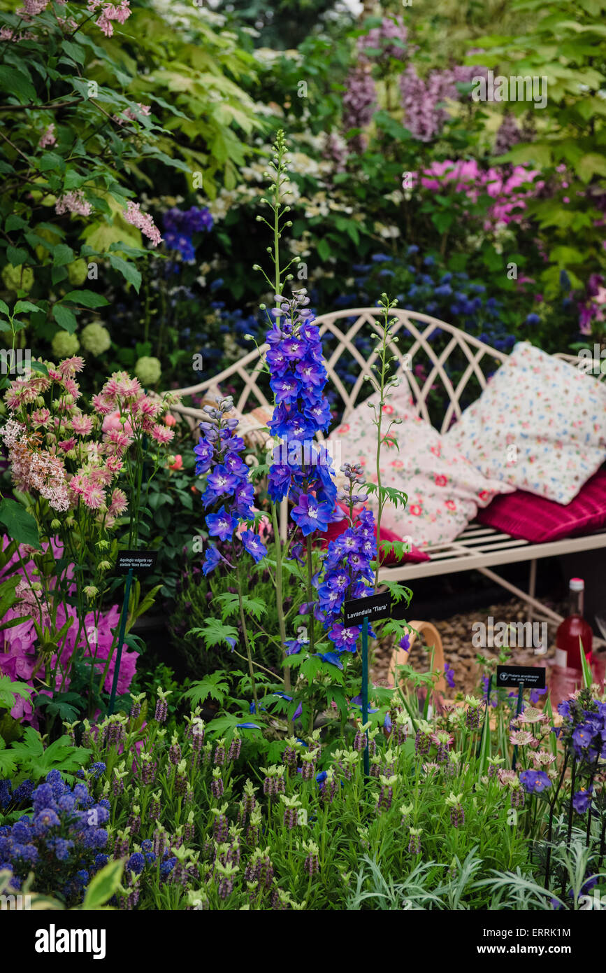 Chelsea Flower Show 2015, Banque D'Images