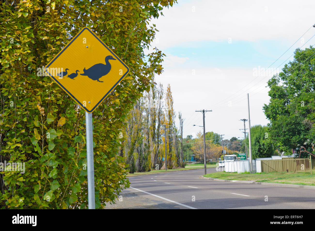 Canards Crossing road sign adjacent à la rivière Peel Tamworth Australie Banque D'Images