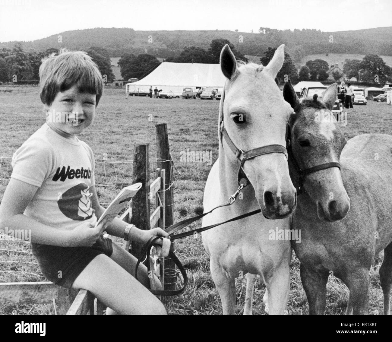 Salon de l'agriculture. Osmotherly Ryan Champion, 7 ans, avec son grand-père's Welsh Riding Ponies. 7 août 1982. Banque D'Images