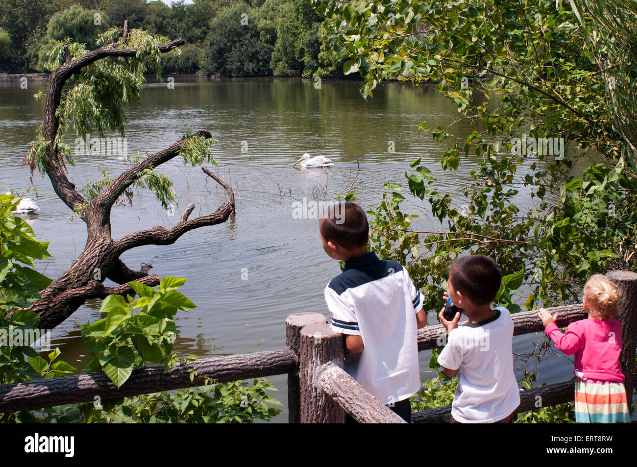 Repos en famille dans un espace vert dans le Zoo de Shanghai. Zoo de Shanghai est le principal jardin zoologique de Changning District dans le menton Banque D'Images