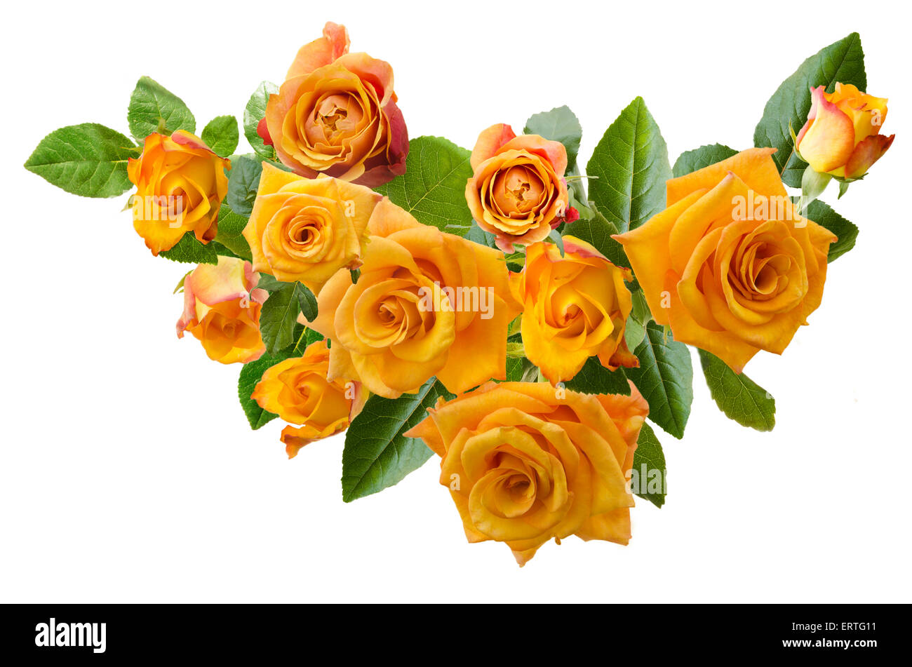 Beau cadre avec bouquet de roses orange jaune isolé sur fond blanc. Vue de dessus. Banque D'Images