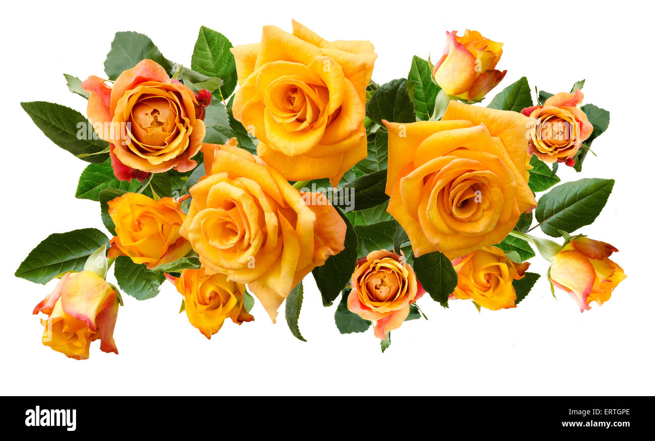 Magnifique bouquet de roses orange jaune isolé sur fond blanc. Vue de dessus. Banque D'Images