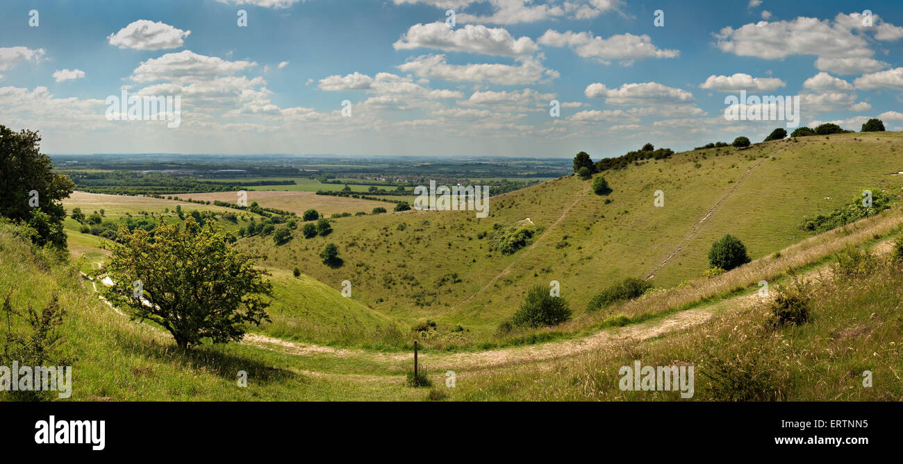 Sentier de Ridgeway près de Ivinghoe Beacon, Ashridge Estate, Buckinghamshire Banque D'Images