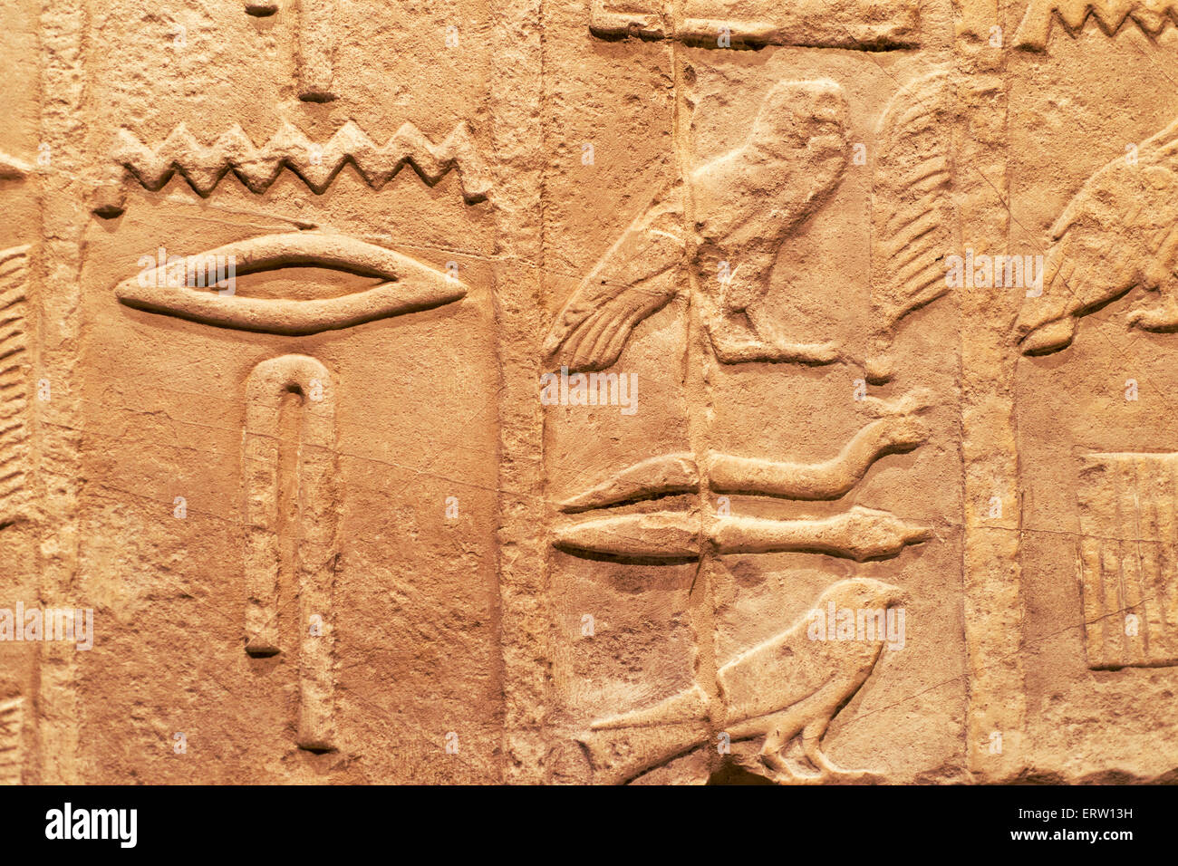 L'Égypte ancienne décharge en pierre avec des chiffres et des signes différents oiseaux Banque D'Images