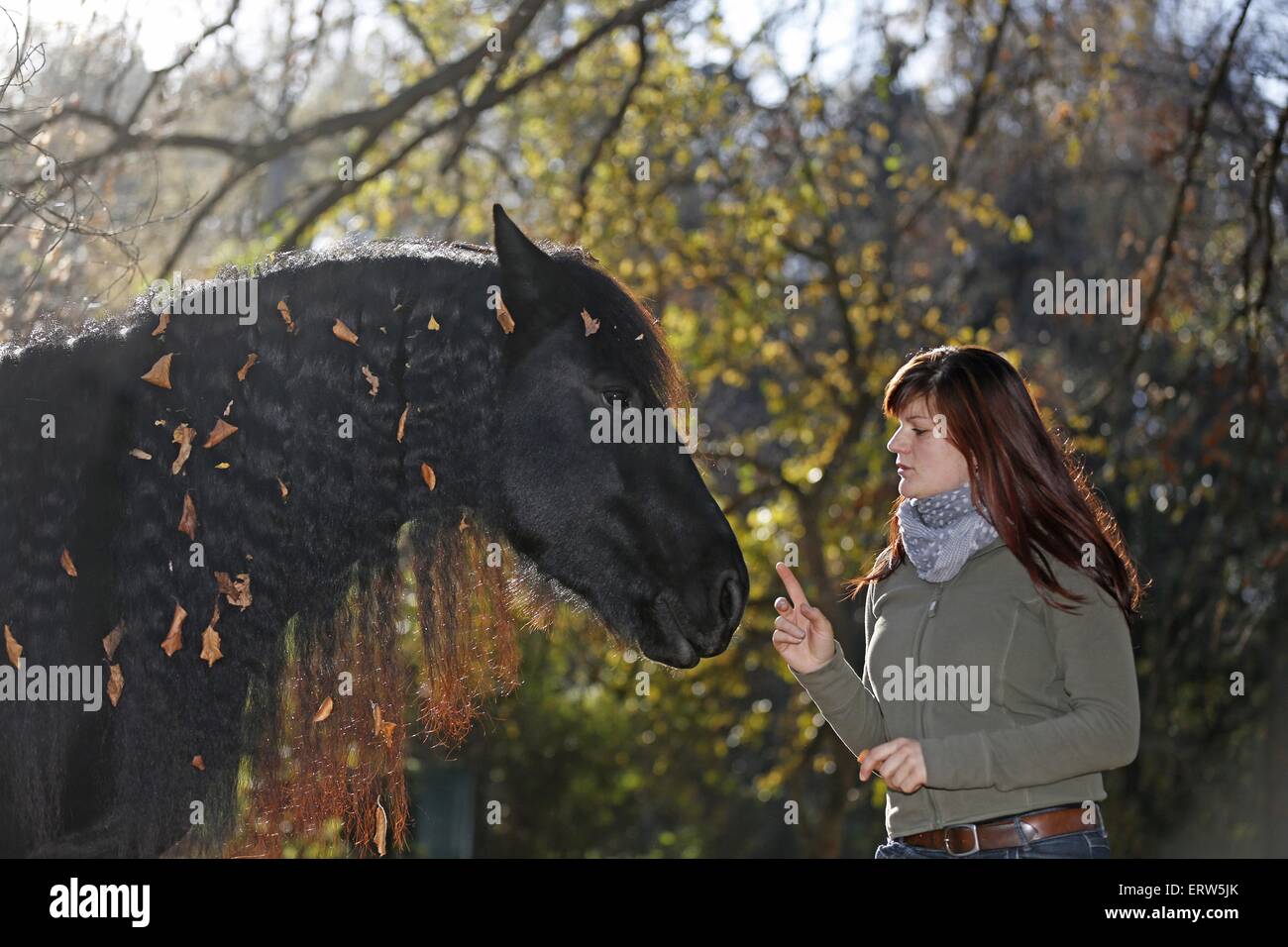 Femme et cheval Frison Banque D'Images
