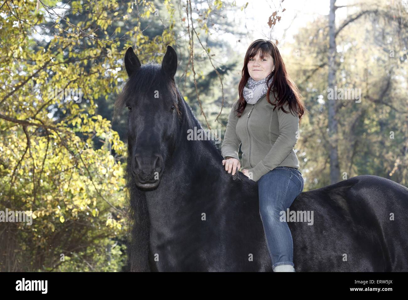 Des promenades en cheval frison femme Banque D'Images
