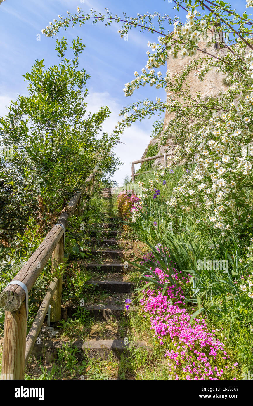 Marches de pierre au milieu de fuchsia et de fleurs blanches et de plantes luxuriantes avec des feuilles vert vif menant aux ruines d'une ancienne forteresse italienne dans une atmosphère enchanteresse de souvenirs historiques Banque D'Images