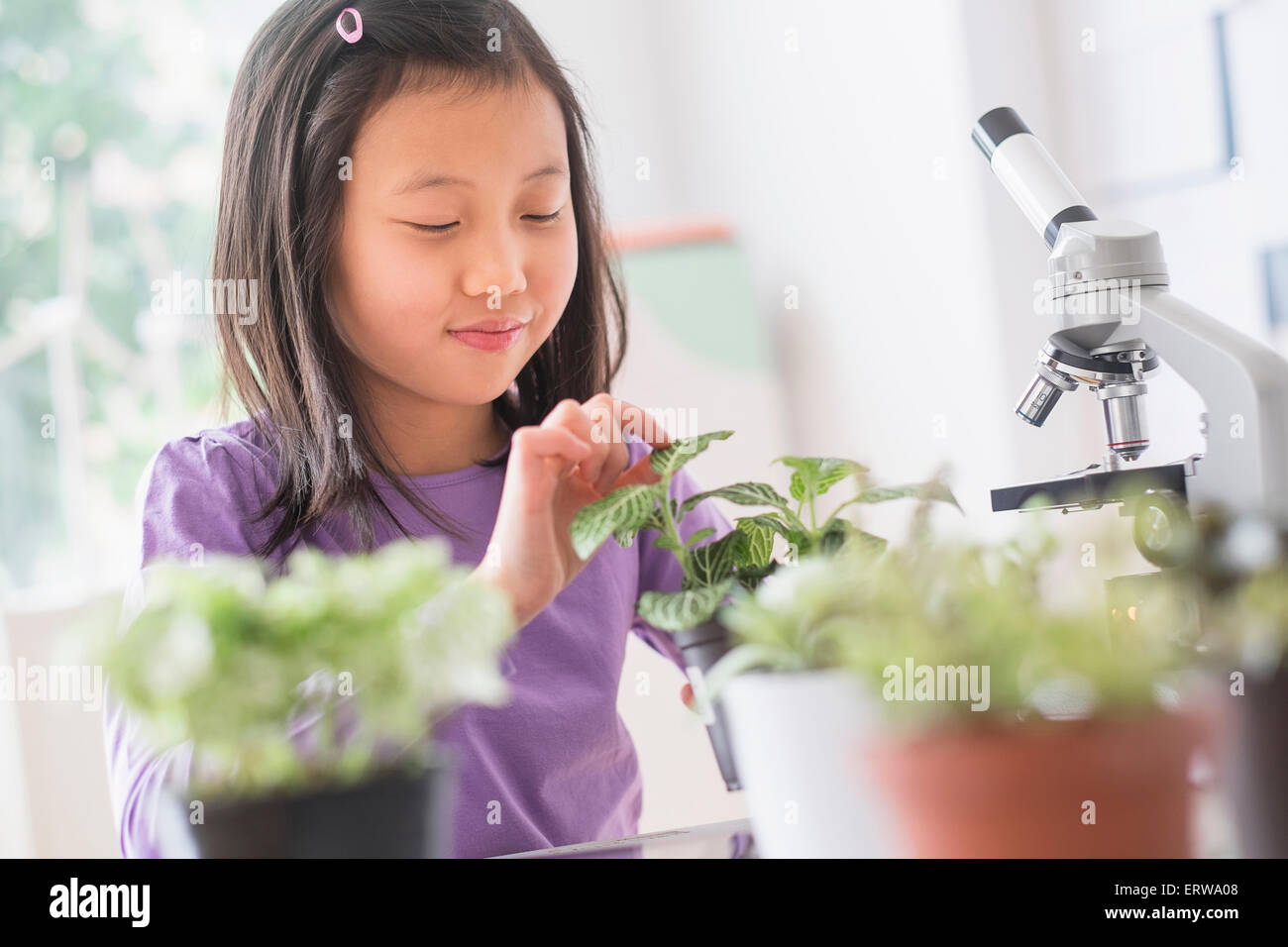 Étudiant chinois examining plants in science lab Banque D'Images