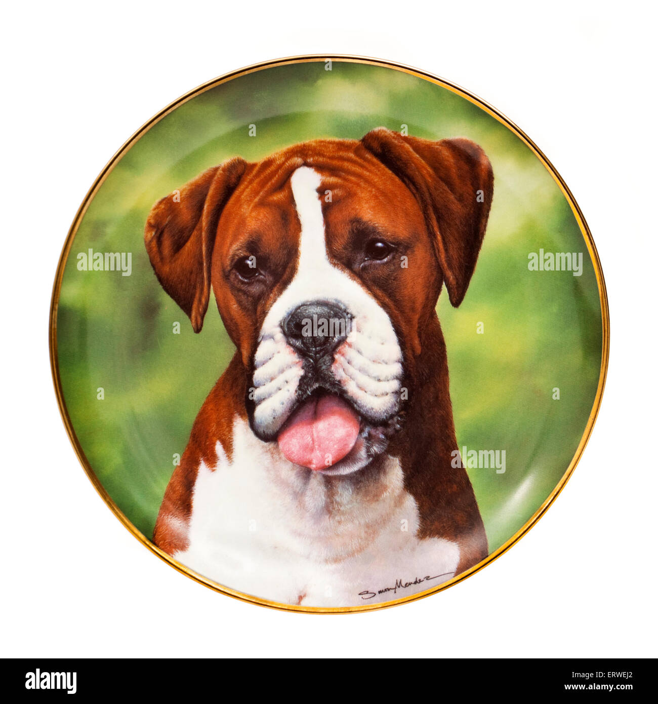 'Say Aah' porcelaine décorative plaque de collecteur de la série 'Boxer' par Danbury Mint avec des illustrations par Simon Mendez Banque D'Images