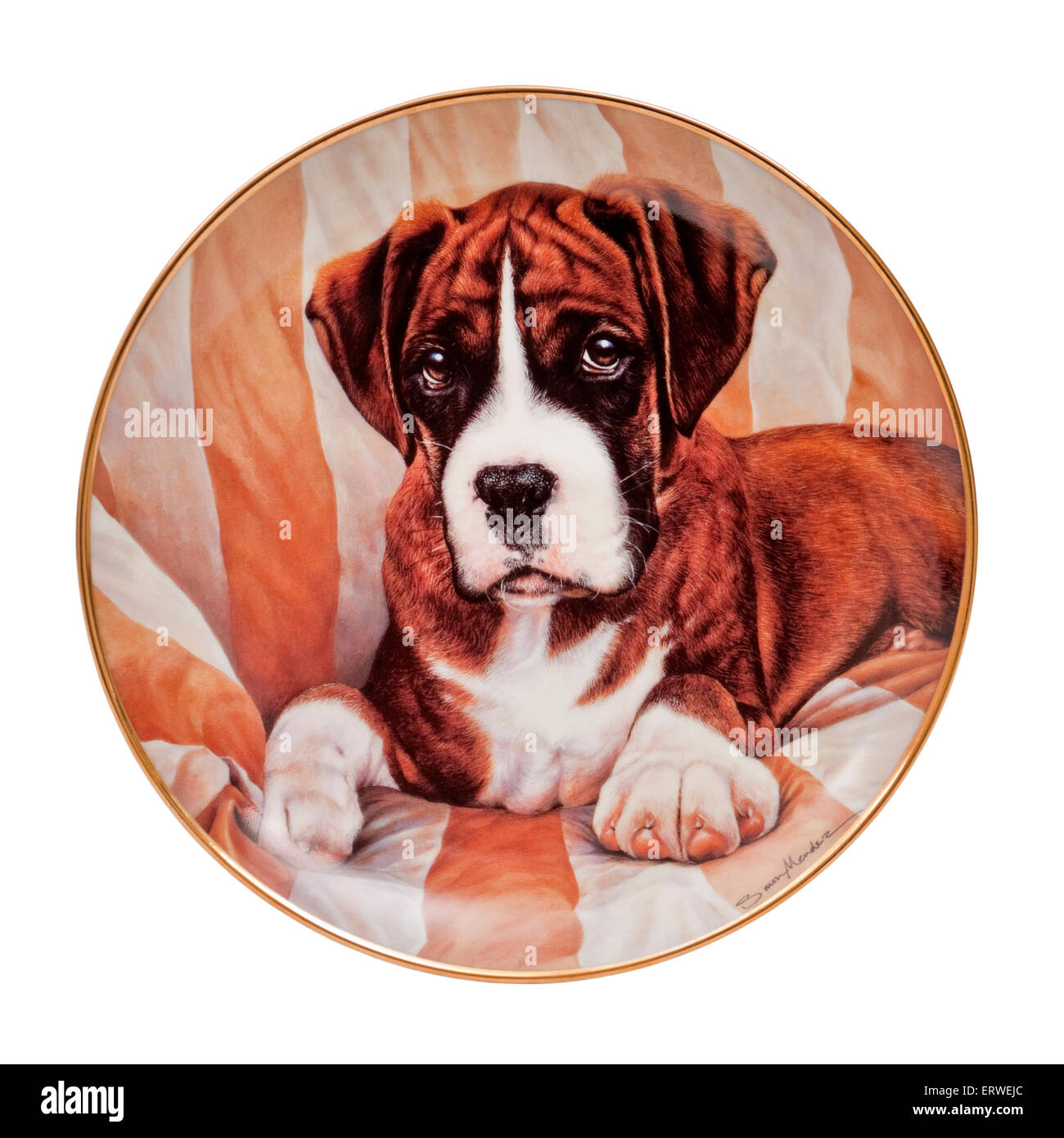 'Le regard' en porcelaine décorative plaque de collecteur de la série 'Boxer' par Danbury Mint avec des illustrations par Simon Mendez Banque D'Images