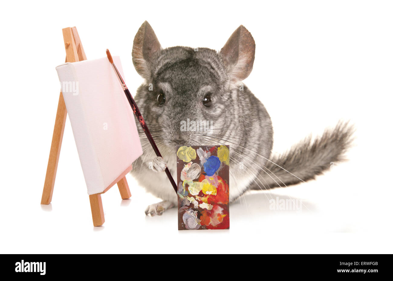 Chinzilla Studio _ Chilla’s Art Complete Pack on Steam – PJLM