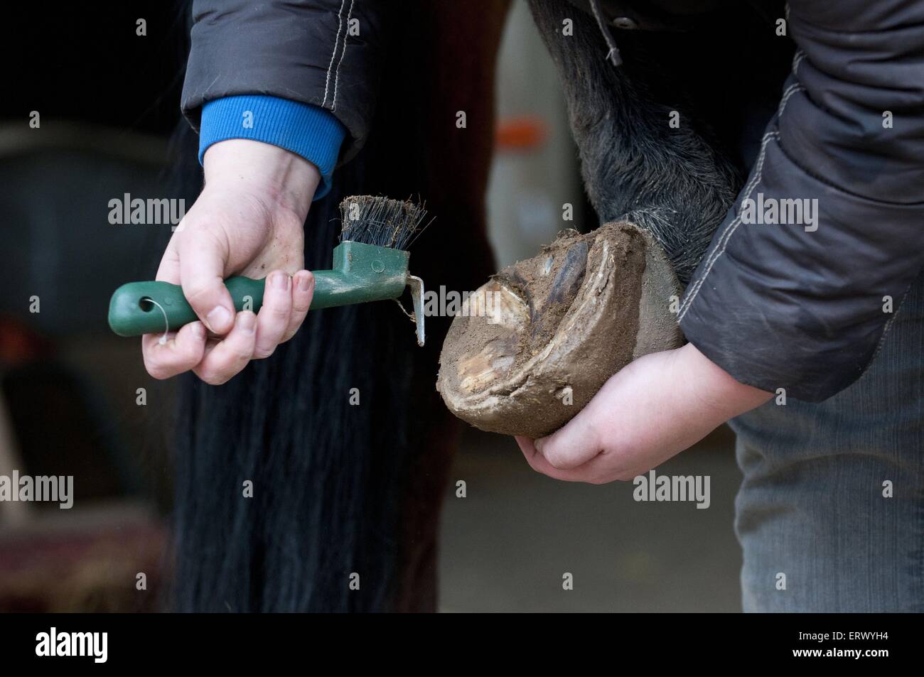 entretien de sabots Banque D'Images
