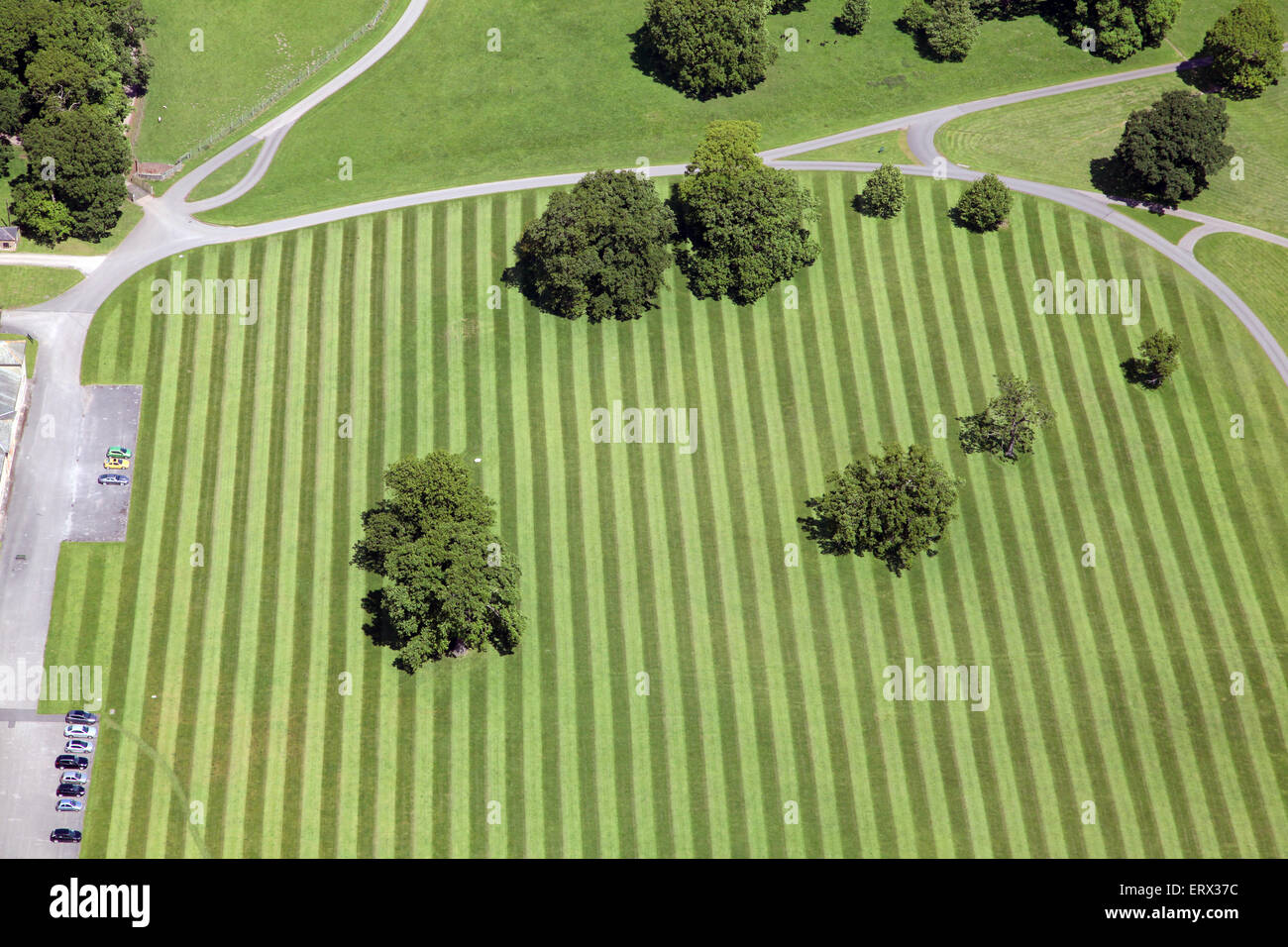 Vue aérienne d'une pelouse à rayures, motif herbe stripey avec arbres, UK Banque D'Images