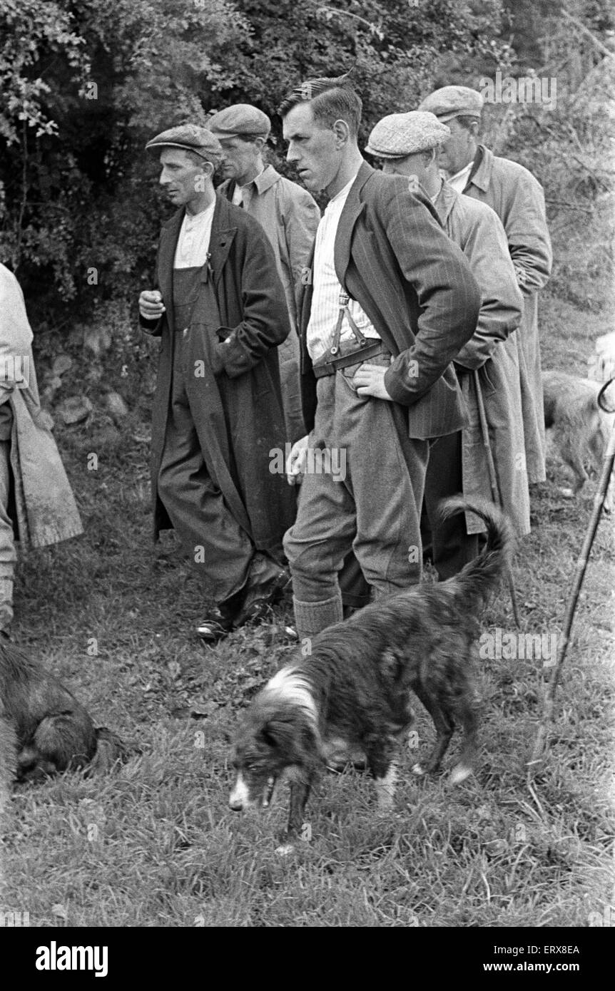Les hommes se réunissent pour regarder la tonte des moutons, dans un village près de Keswick, Cumbria, vers juillet 1947. Banque D'Images