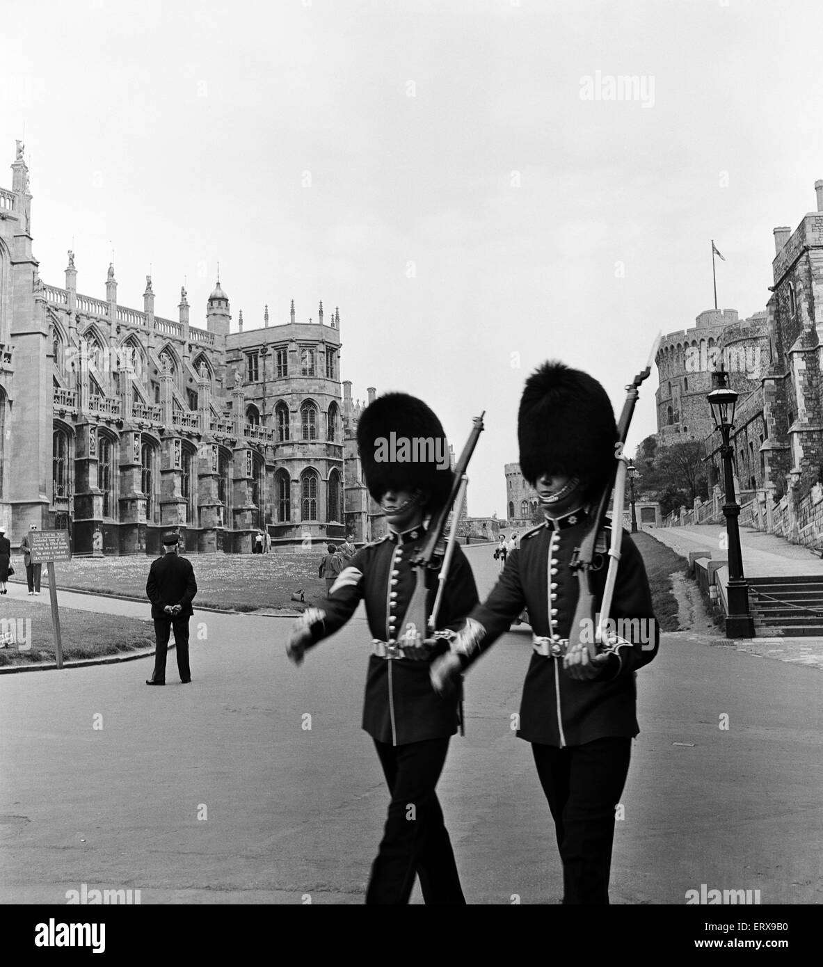 Les Grenadier Guards au château de Windsor, Berkshire. 20 mai 1954. Banque D'Images