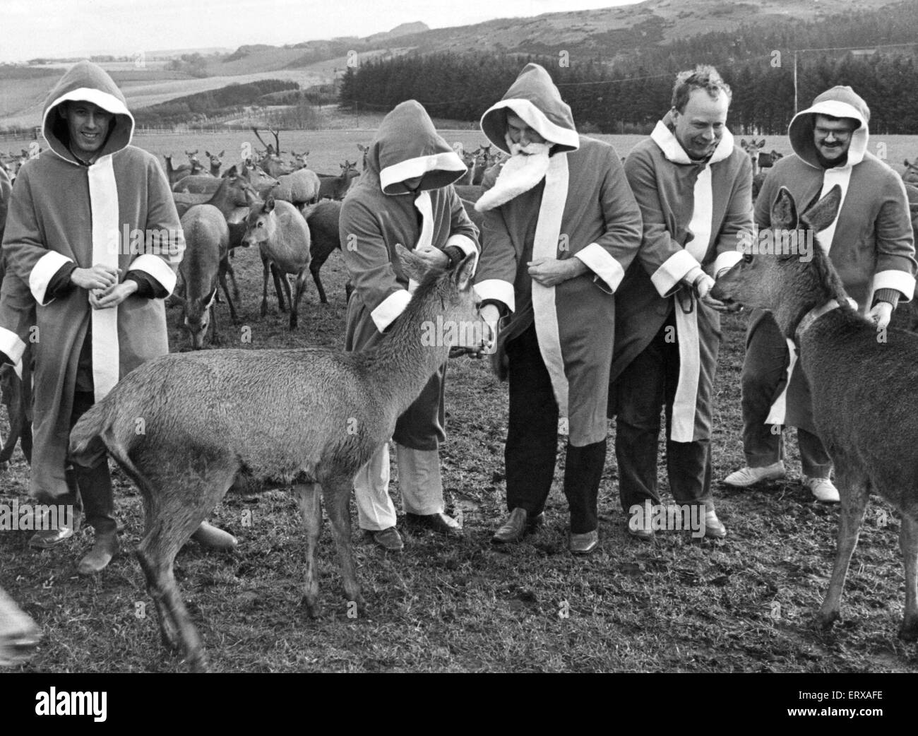 Collecte de fonds d'organismes de bienfaisance de Linlithgow Table ronde avec certains des pays Beecraige à Deer Park. Le père Noël sera la collecte à partir de maintenant jusqu'à Noël et les recettes seront partagées entre les organismes de bienfaisance locaux, le 12 décembre 1984. Banque D'Images