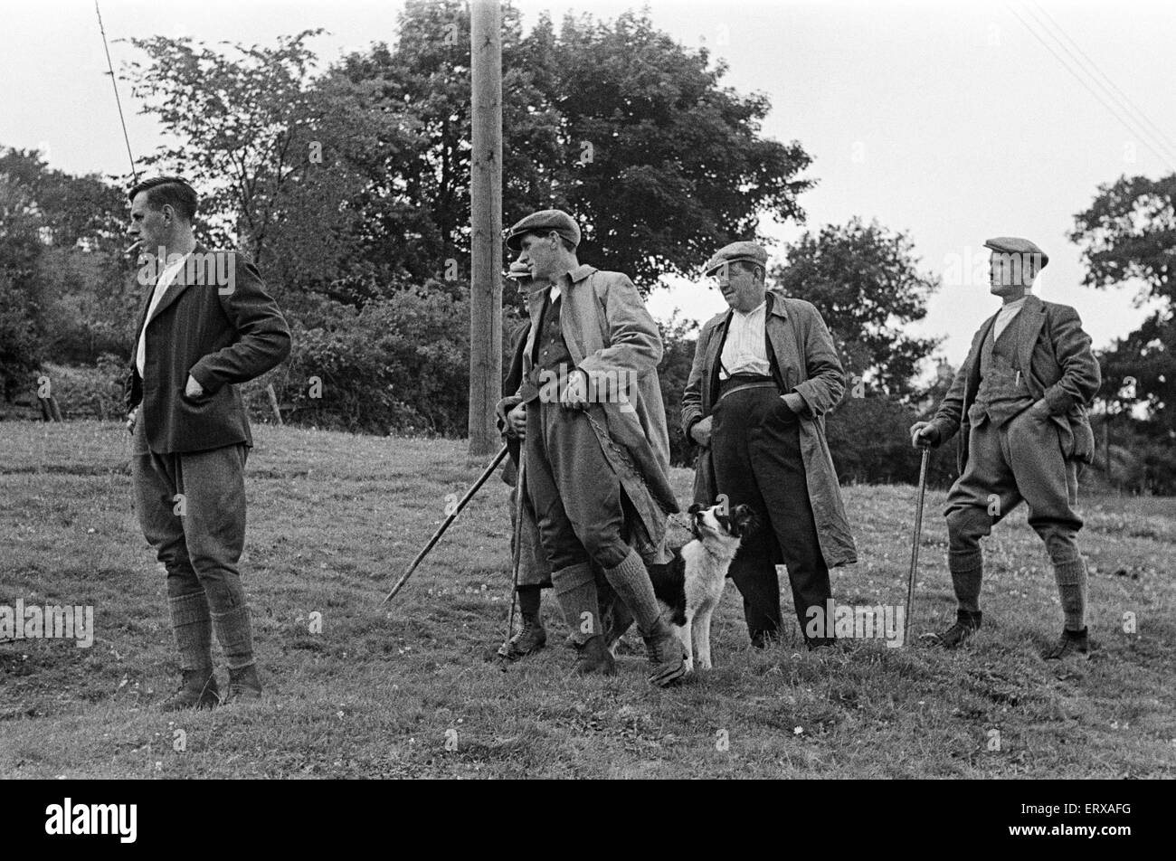 Les hommes se réunissent pour regarder dans la tonte des moutons Braithwaite village près de Keswick, Cumbria, vers juillet 1947. Banque D'Images
