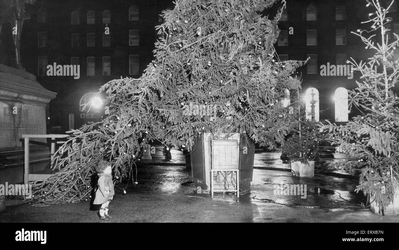 Trois ans Mary Day, de jardins Highfield, Liverpool, a été l'un qui va, d'avoir un regard sur l'arbre de Noël de Liverpool sur le Plateau, a été déçu de trouver qu'il avait été soufflé par le vent. 23 Décembre 1954 Banque D'Images