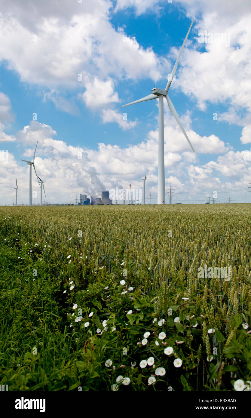 L'Europe, l'Allemagne, en Rhénanie du Nord-Westphalie, les éoliennes près de Bergheim, à l'arrière-plan le Niedera brown coal power station Banque D'Images