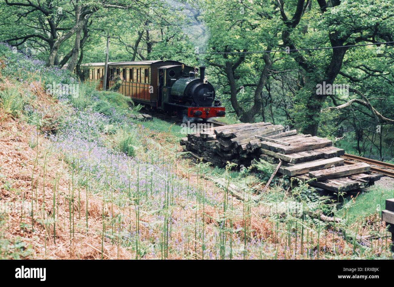 Train à vapeur sur la ligne de chemin de fer Talyllyn qui court pour 7,25 kilomètres de Tywyn sur la côte Mid-Wales à Nant Gwernol près du village d'Abergynolwyn. Mai 1973. Banque D'Images