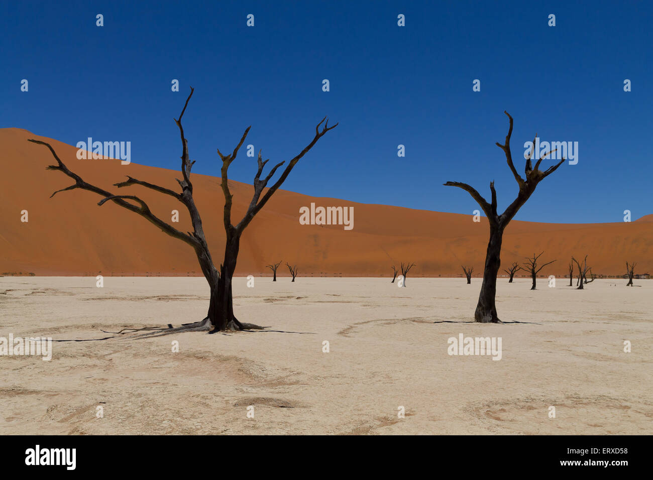 Une vue de Dead Vlei Sossusvlei, Namibie Banque D'Images