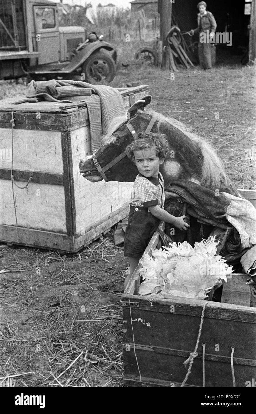 En coulisses lors d'un cirque, novembre 1947. Banque D'Images