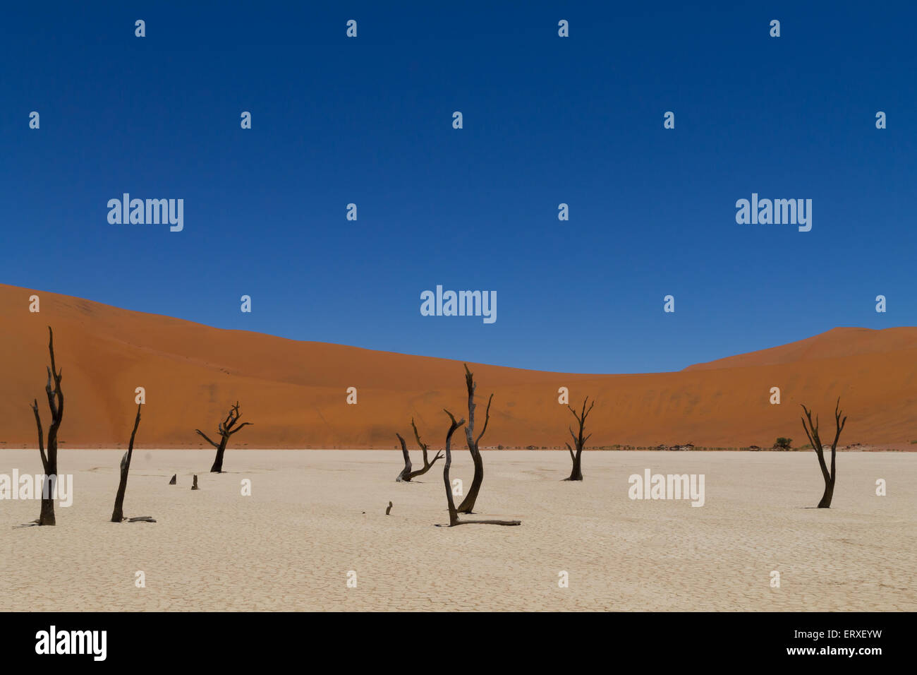 Une vue de Dead Vlei Sossusvlei, Namibie Banque D'Images