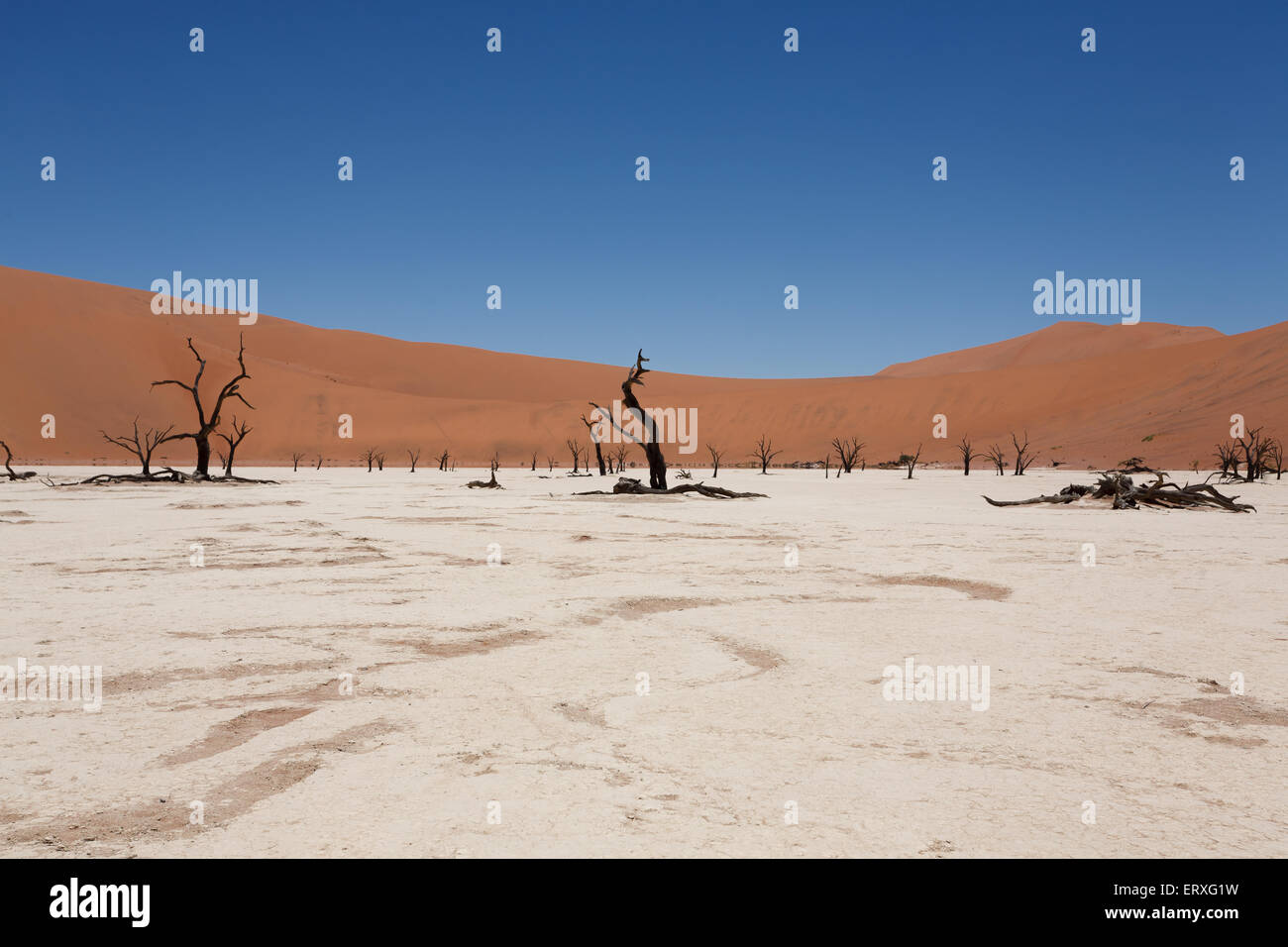 Une vue de Dead Vlei Sossusvlei, Namibie Banque D'Images