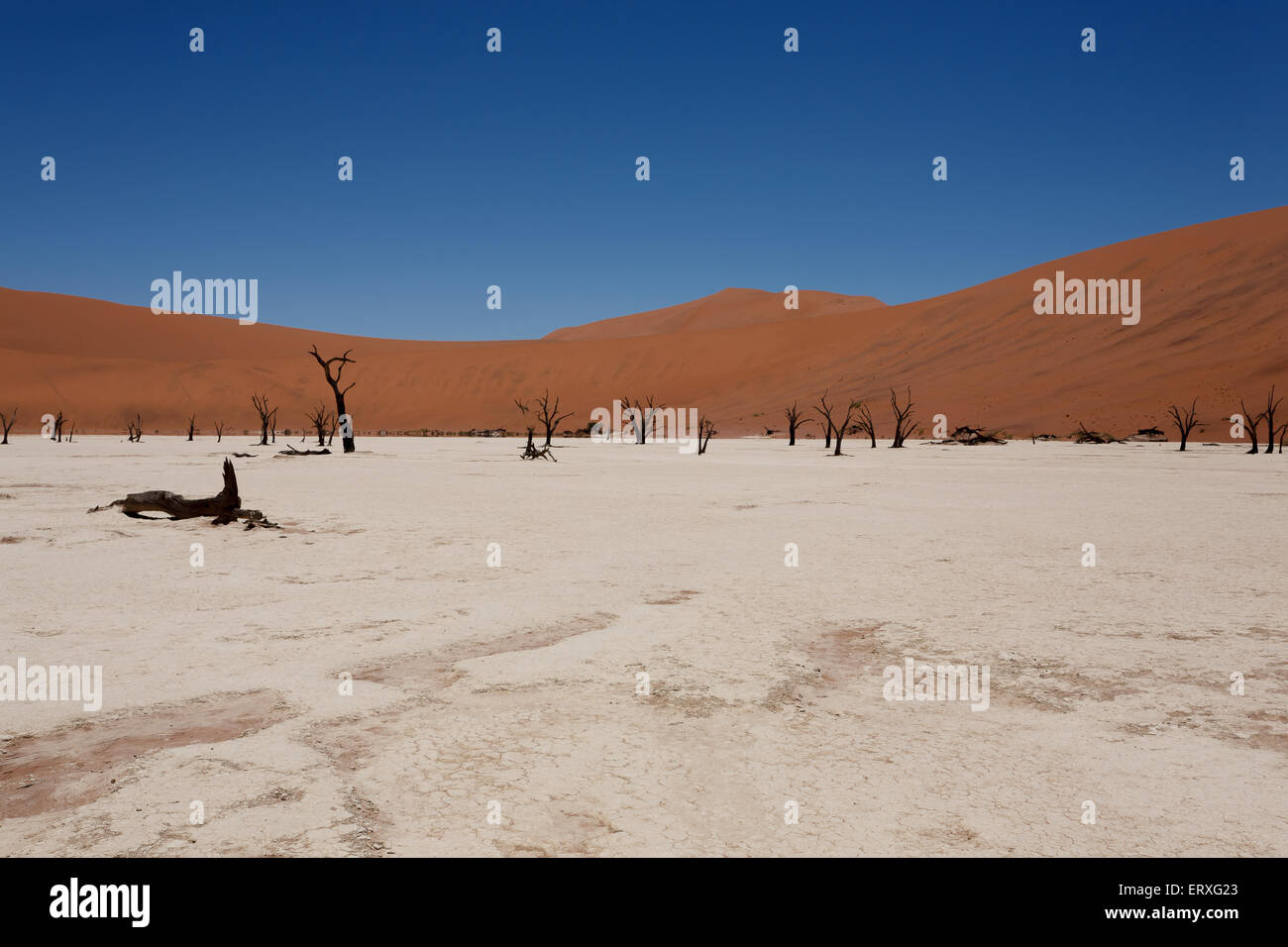 Une vue de Dead Vlei Sossusvlei, Namibie Banque D'Images