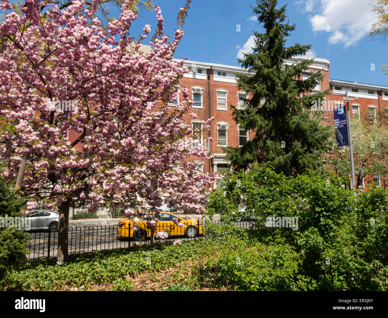 Washington Square Park au printemps, Greenwich Village, NEW YORK, USA Banque D'Images