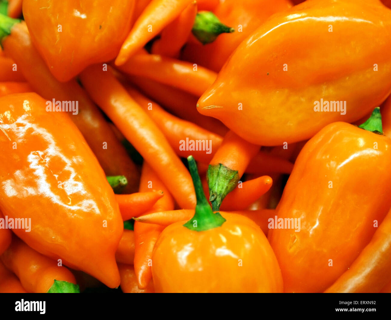 Orange assorties chili peppers close up Banque D'Images