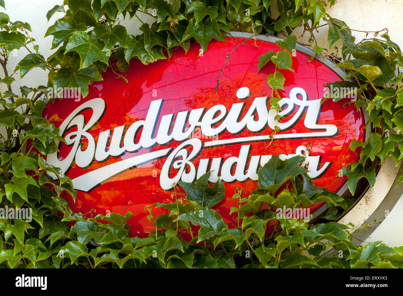 Budweiser Budvar signe extérieur bar brasserie marque République Tchèque Banque D'Images