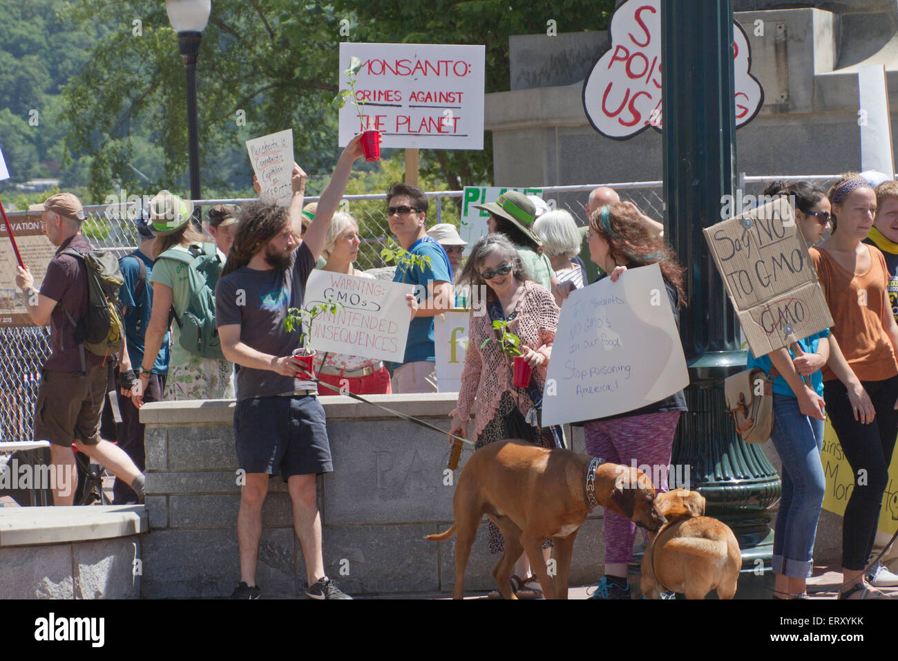 Les activistes américains protestent signes tenir Monsanto et les aliments génétiquement modifiés dans un rassemblement national le 23 mai 2015 Banque D'Images