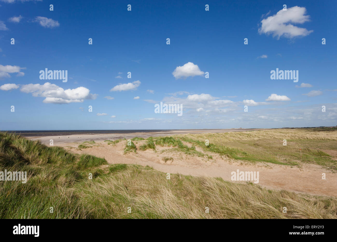 Dunes de sable et l'herbe sur la côte nord du comté de Norfolk par la réserve RSPB Titchwell Marsh près de Hunstanton Banque D'Images