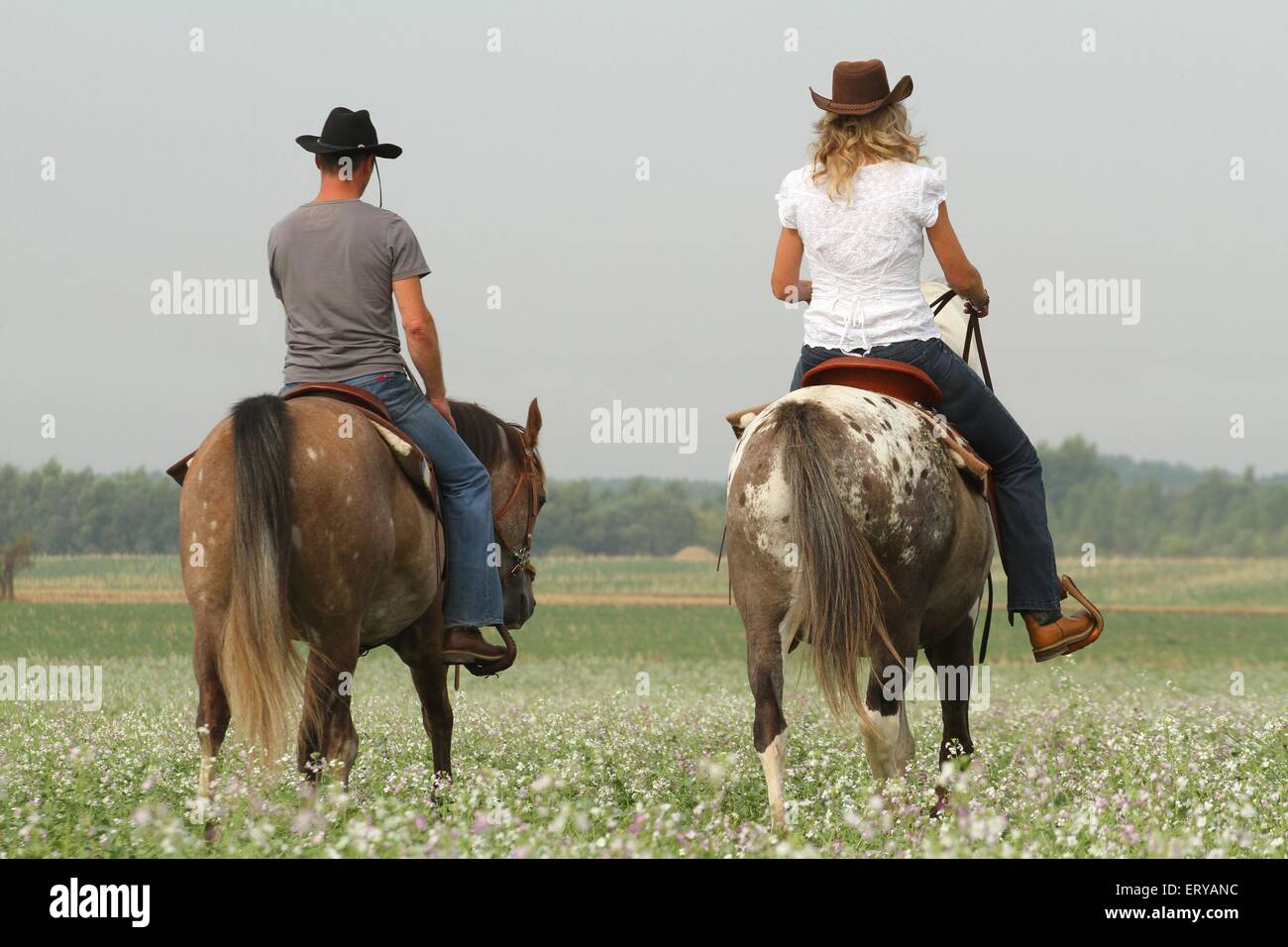2 cavaliers avec les chevaux Banque D'Images