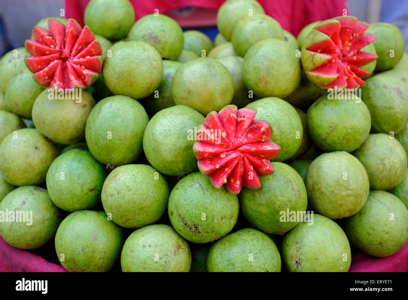 Exposition de fruits de goyave rouge à vendre ; Bhavnagar ; Gujarat ; Inde , asie Banque D'Images