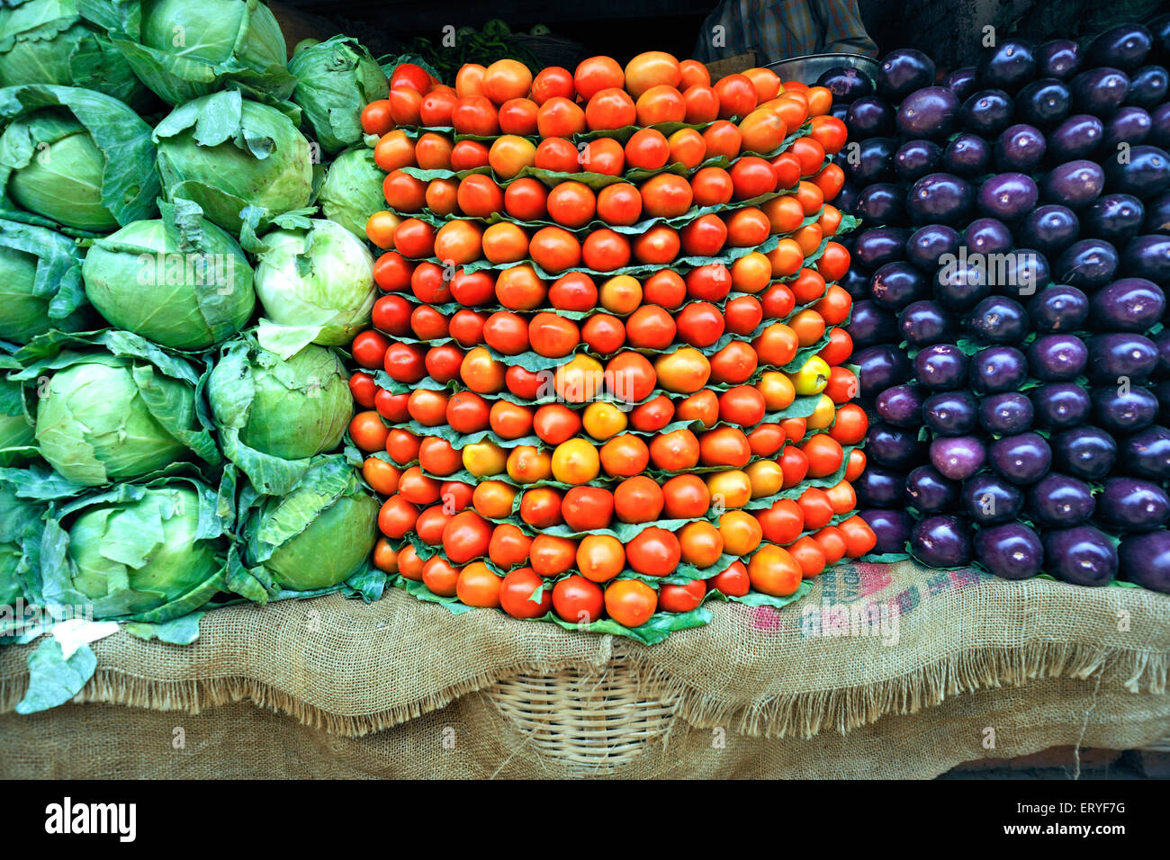 Chou vert ; légumes tomate rouge brinjal violet Banque D'Images