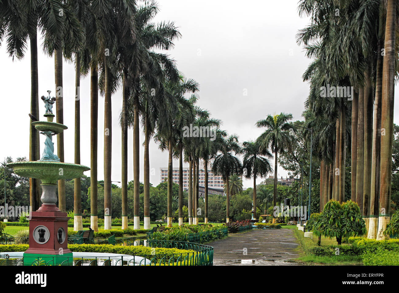 Avenue des palmiers , jardins Eden ; Calcutta , Kolkata ; Bengale-Occidental ; Inde , Asie Banque D'Images