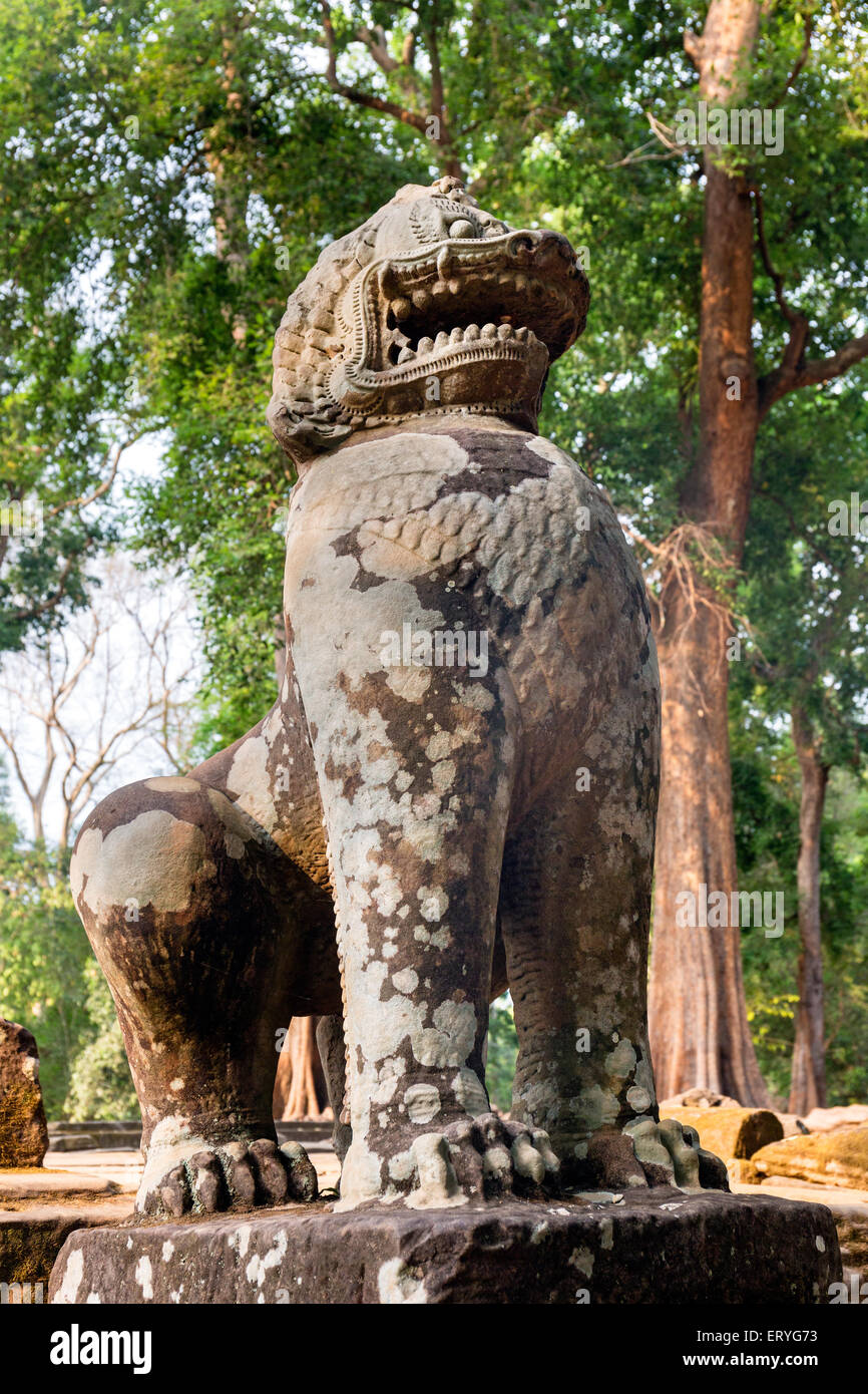 Ta Prohm Temple, Angkor Thom, la Province de Siem Reap, Cambodge Banque D'Images