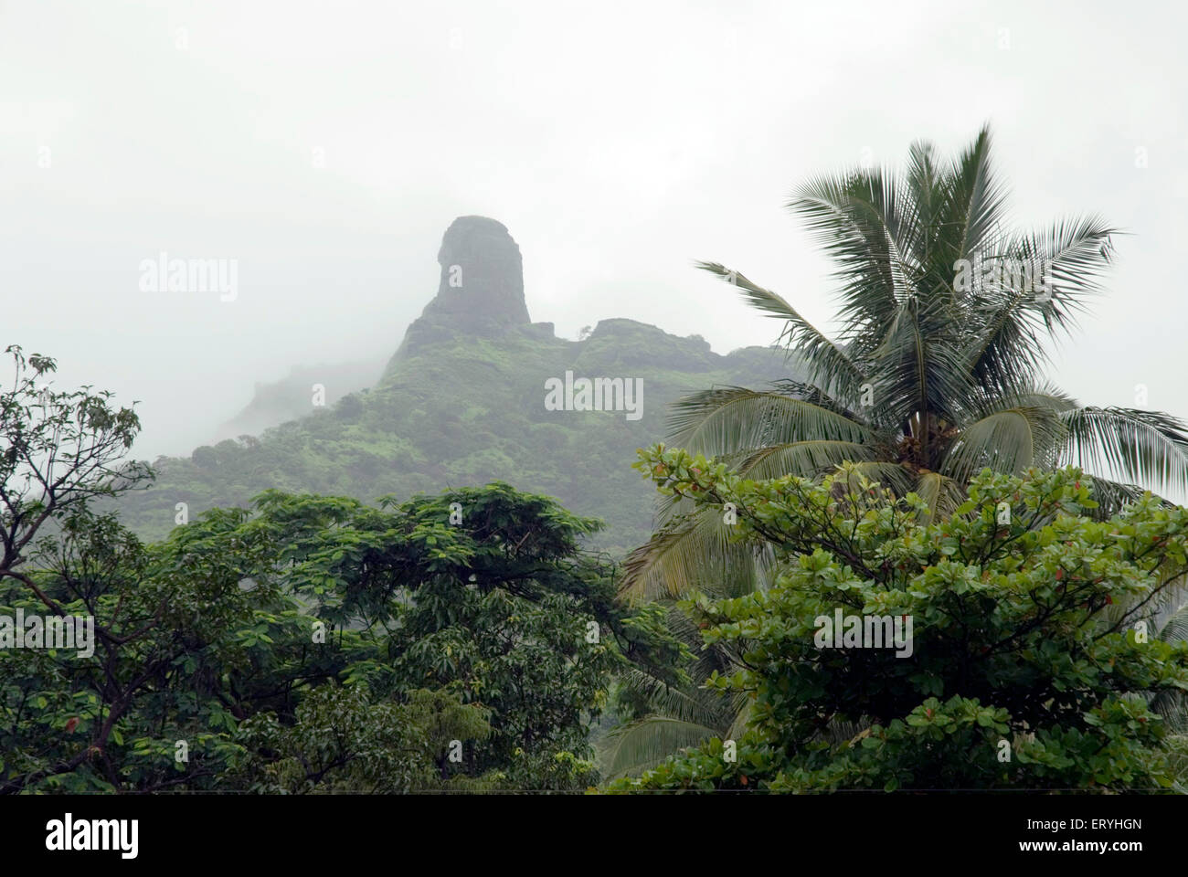 Mousson au fort de Karnala ; district de Raigadh ; Maharashtra ; Inde ; forts indiens Banque D'Images