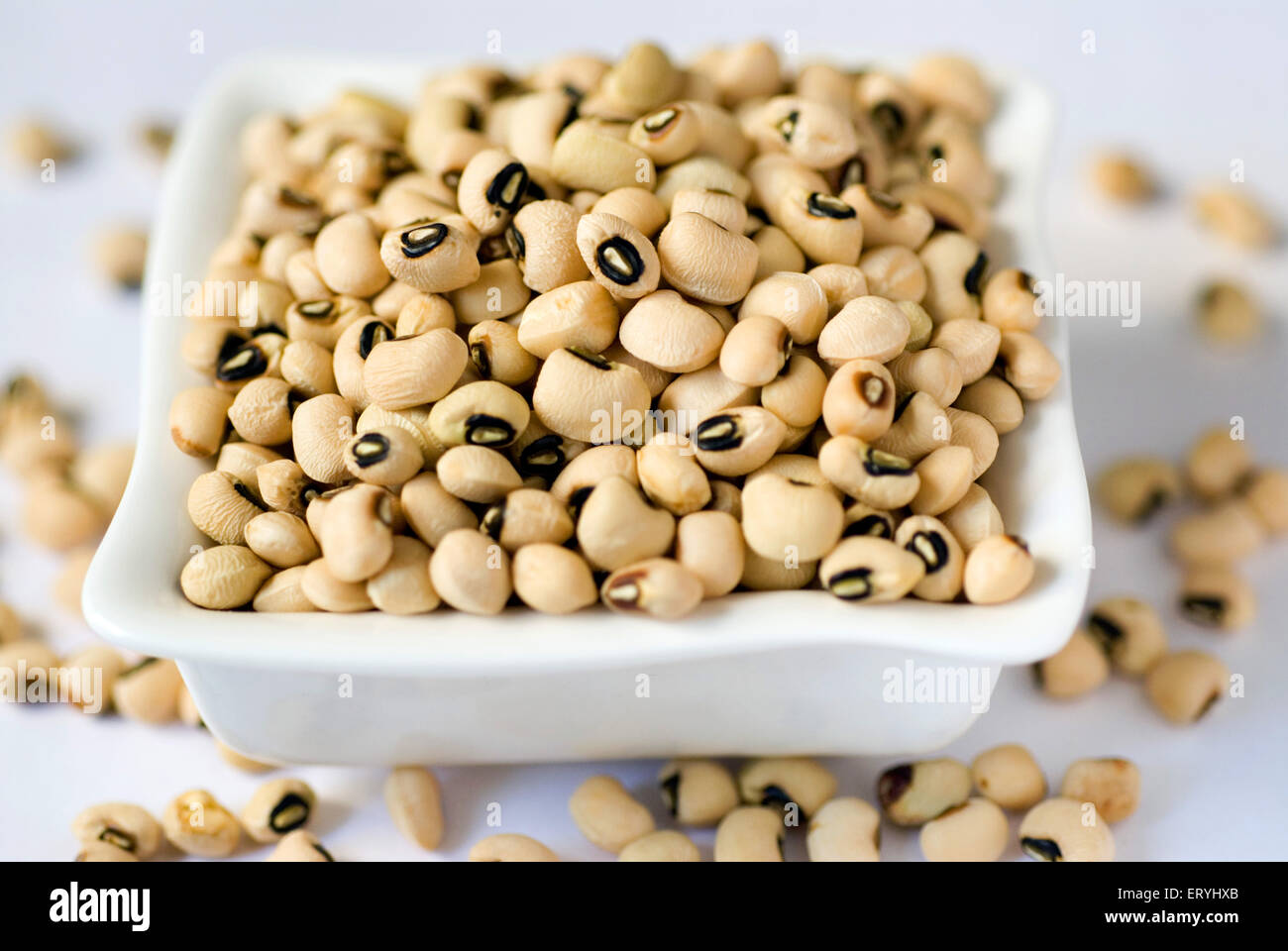 Black Eyed ; grains de haricots Vigna unguiculata dans le bac sur fond blanc Banque D'Images