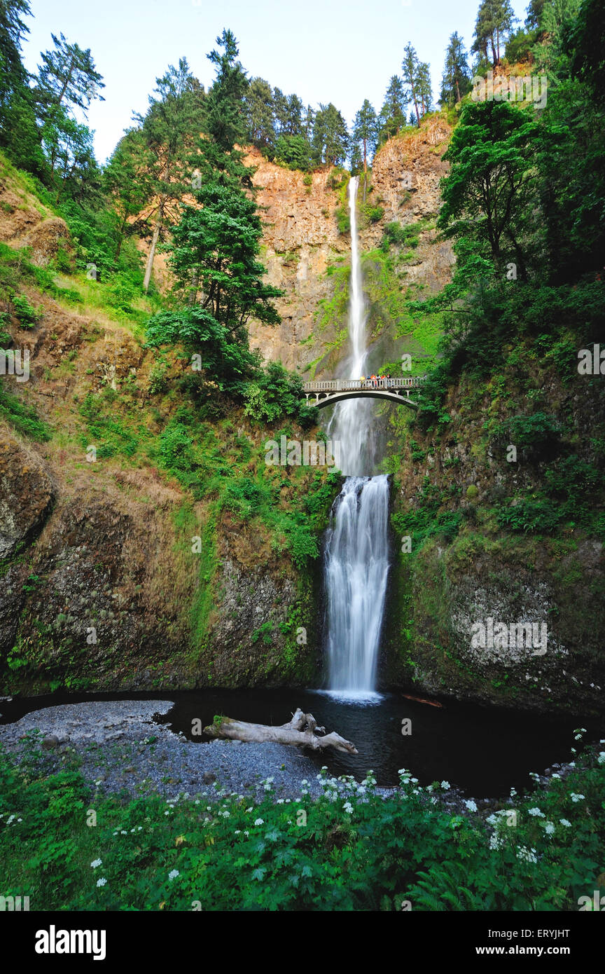 Multnomah Falls , gorge de la rivière Columbia ; Oregon ; USA , Etats-Unis d'Amérique Banque D'Images