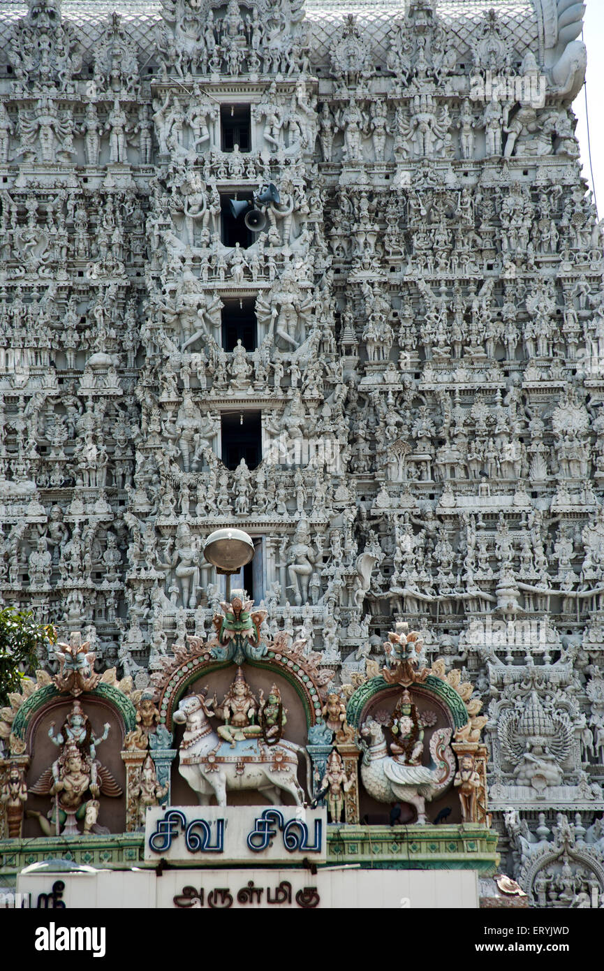 Suchindram Temple à Kanyakumari tamilnadu Inde Banque D'Images